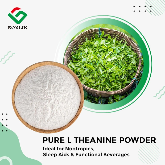 Pure L Theanine Powder